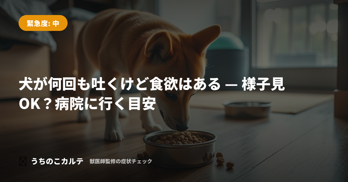 犬が何回も吐くけど食欲はある — 様子見OK？病院に行く目安