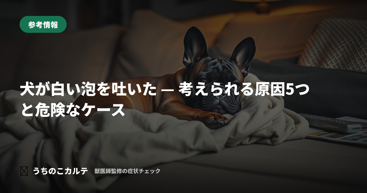 犬が白い泡を吐いた — 考えられる原因5つと危険なケース