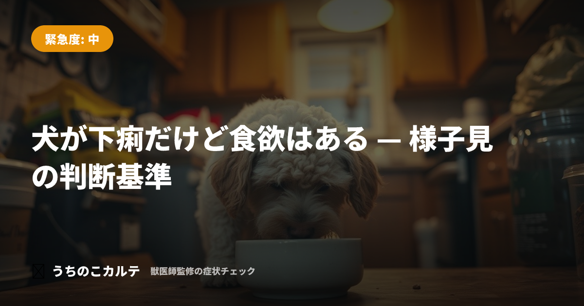 犬が下痢だけど食欲はある — 様子見の判断基準