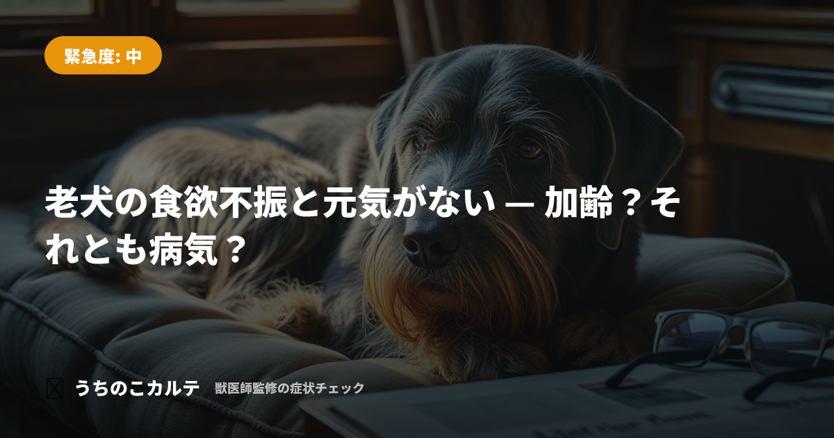 老犬の食欲不振と元気がない — 加齢？それとも病気？