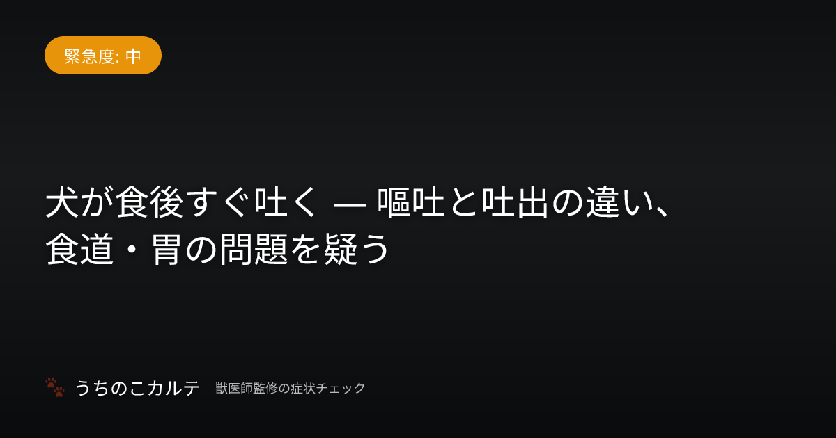犬が食後すぐ吐く — 嘔吐と吐出の違い、食道・胃の問題を疑う