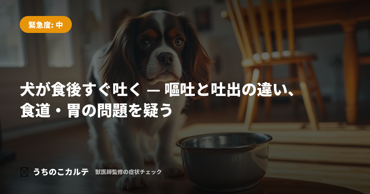 犬が食後すぐ吐く — 嘔吐と吐出の違い、食道・胃の問題を疑う