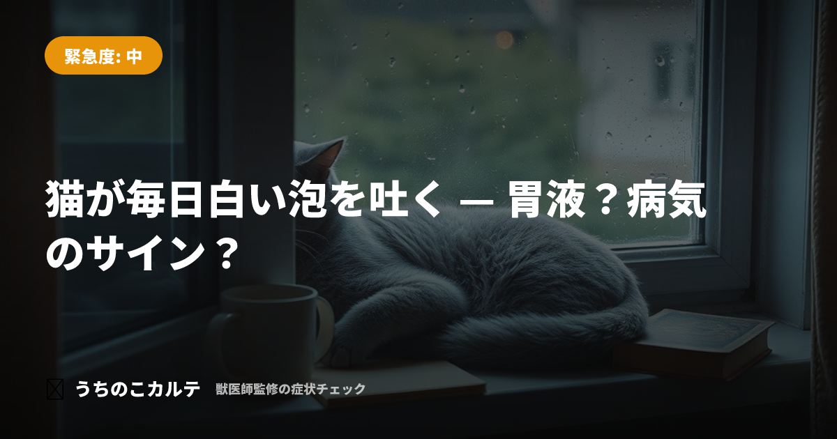 猫が毎日白い泡を吐く — 胃液？病気のサイン？