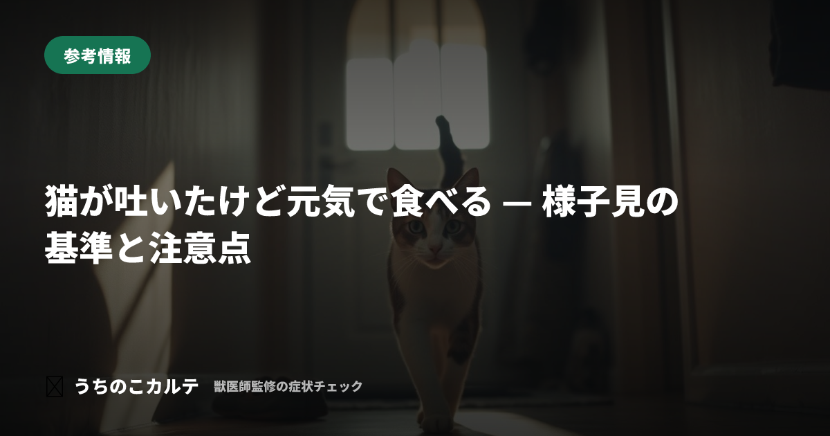 猫が吐いたけど元気で食べる — 様子見の基準と注意点