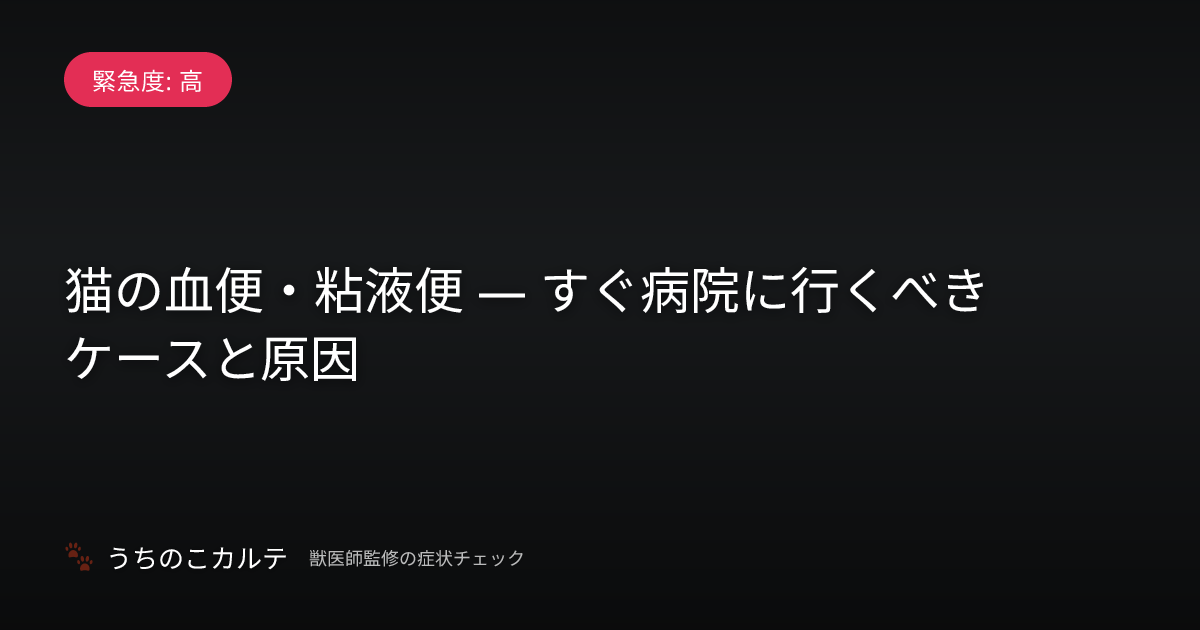 猫の血便・粘液便 — すぐ病院に行くべきケースと原因