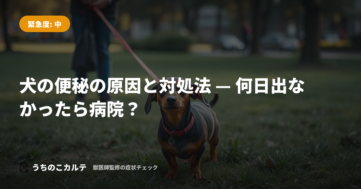 犬の便秘の原因と対処法 — 何日出なかったら病院?