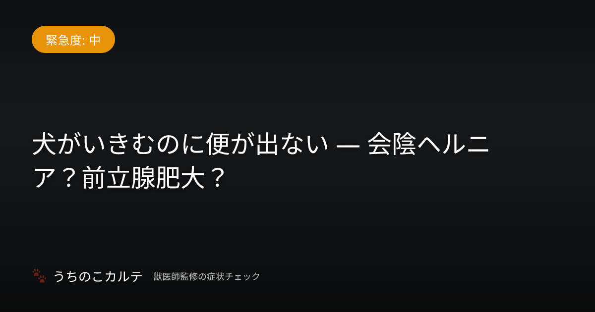 犬がいきむのに便が出ない — 会陰ヘルニア？前立腺肥大？
