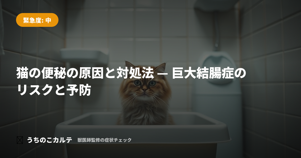 猫の便秘の原因と対処法 — 巨大結腸症のリスクと予防