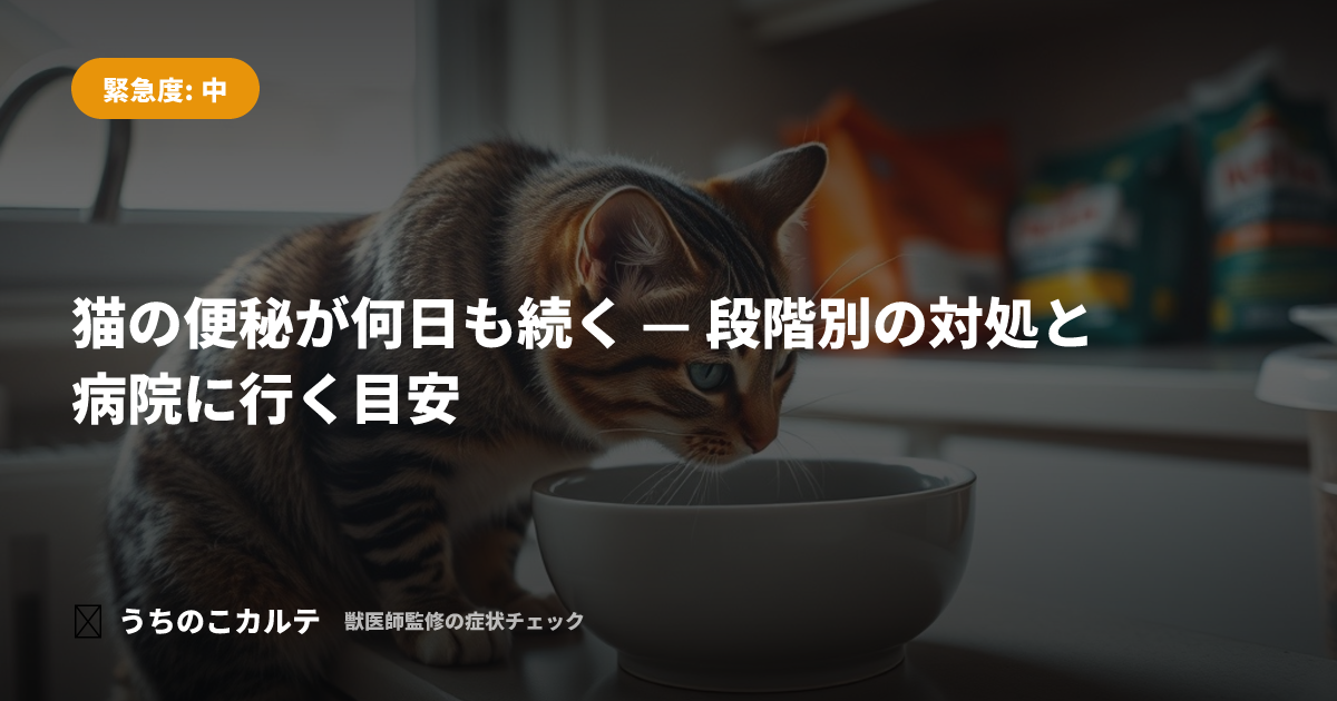 猫の便秘が何日も続く — 段階別の対処と病院に行く目安