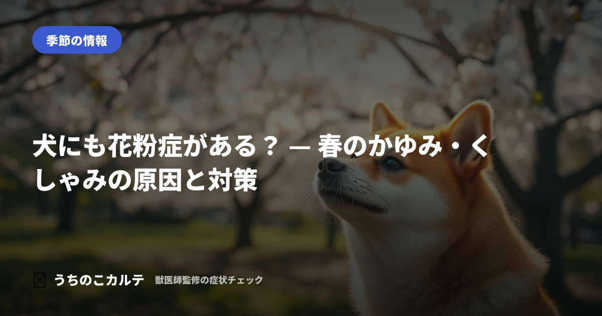犬にも花粉症がある？ — 春のかゆみ・くしゃみの原因と対策