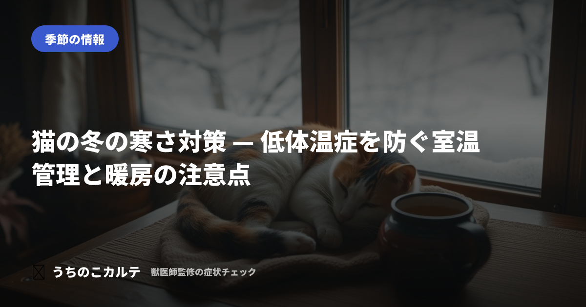 猫の冬の寒さ対策 — 低体温症を防ぐ室温管理と暖房の注意点