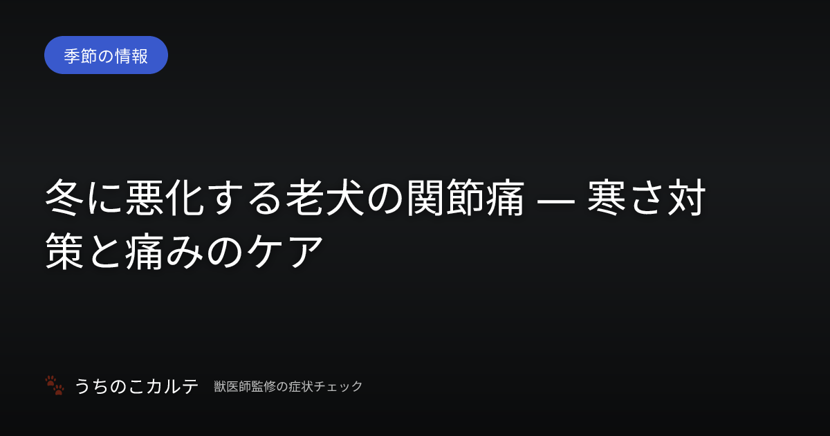 冬に悪化する老犬の関節痛 — 寒さ対策と痛みのケア