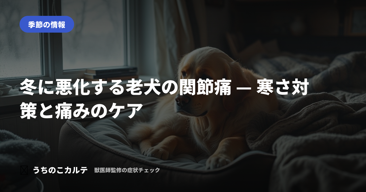 冬に悪化する老犬の関節痛 — 寒さ対策と痛みのケア