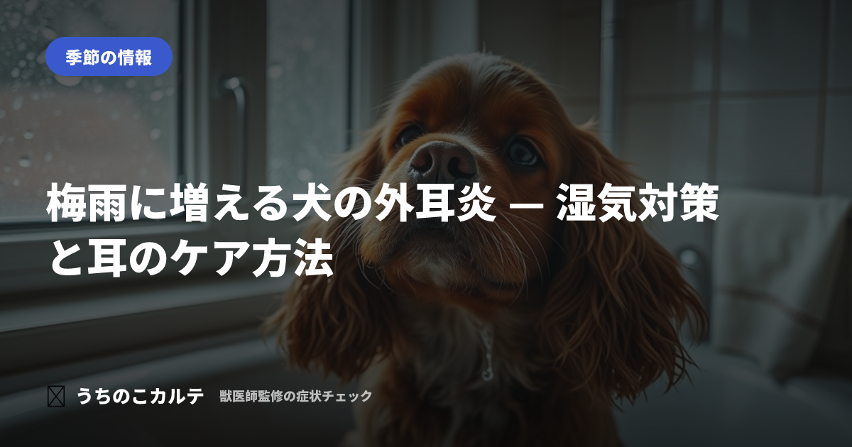 梅雨に増える犬の外耳炎 — 湿気対策と耳のケア方法