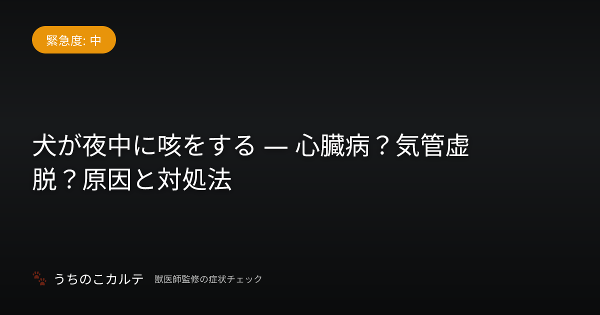 犬が夜中に咳をする — 心臓病？気管虚脱？原因と対処法
