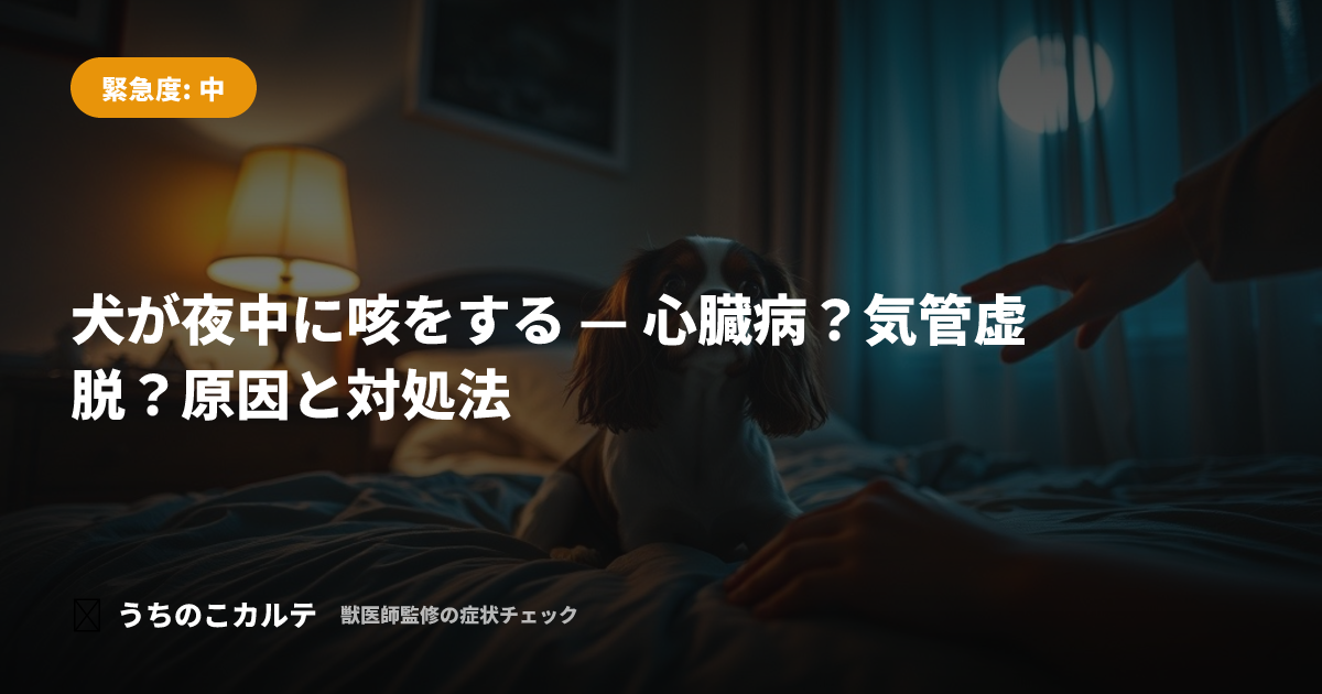 犬が夜中に咳をする — 心臓病?気管虚脱?原因と対処法