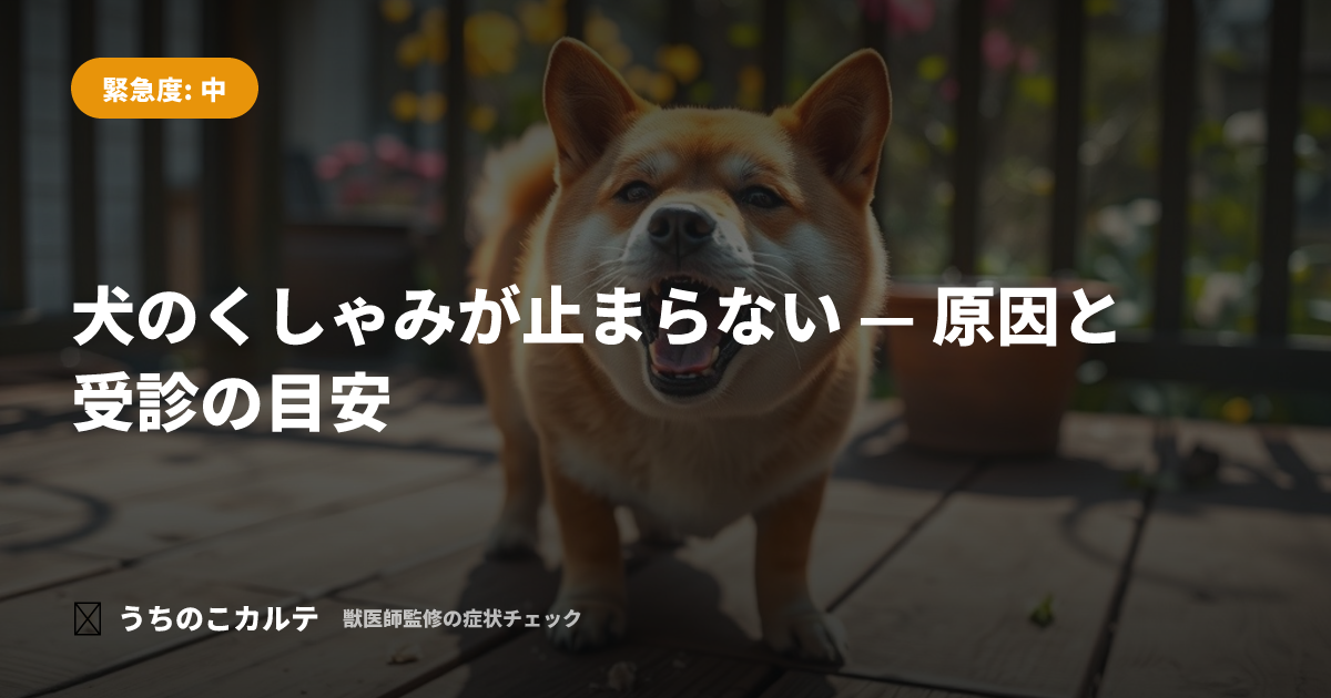 犬のくしゃみが止まらない — 原因と受診の目安