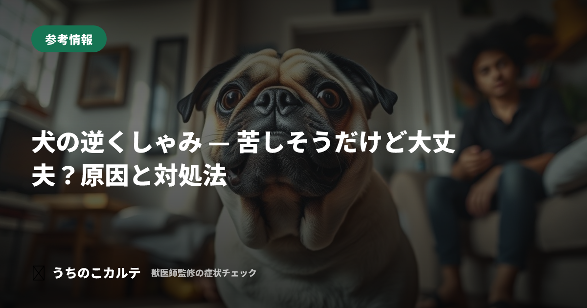 犬の逆くしゃみ — 苦しそうだけど大丈夫?原因と対処法