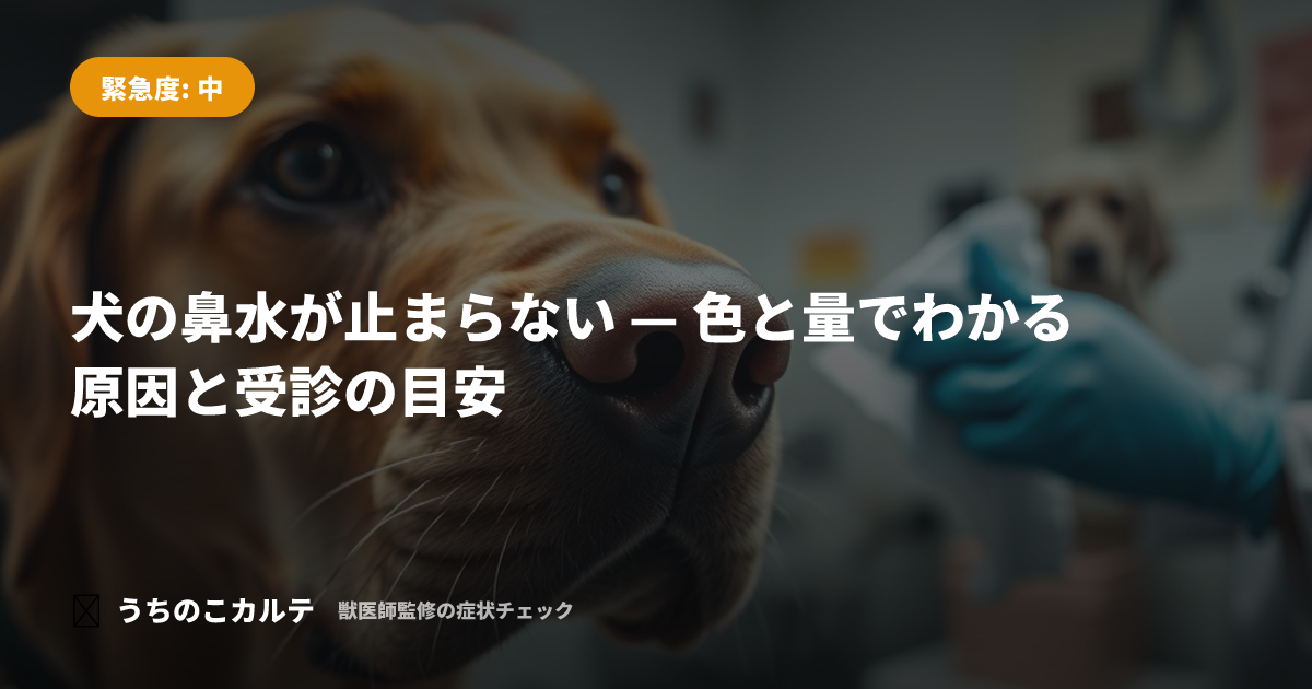 犬の鼻水が止まらない — 色と量でわかる原因と受診の目安