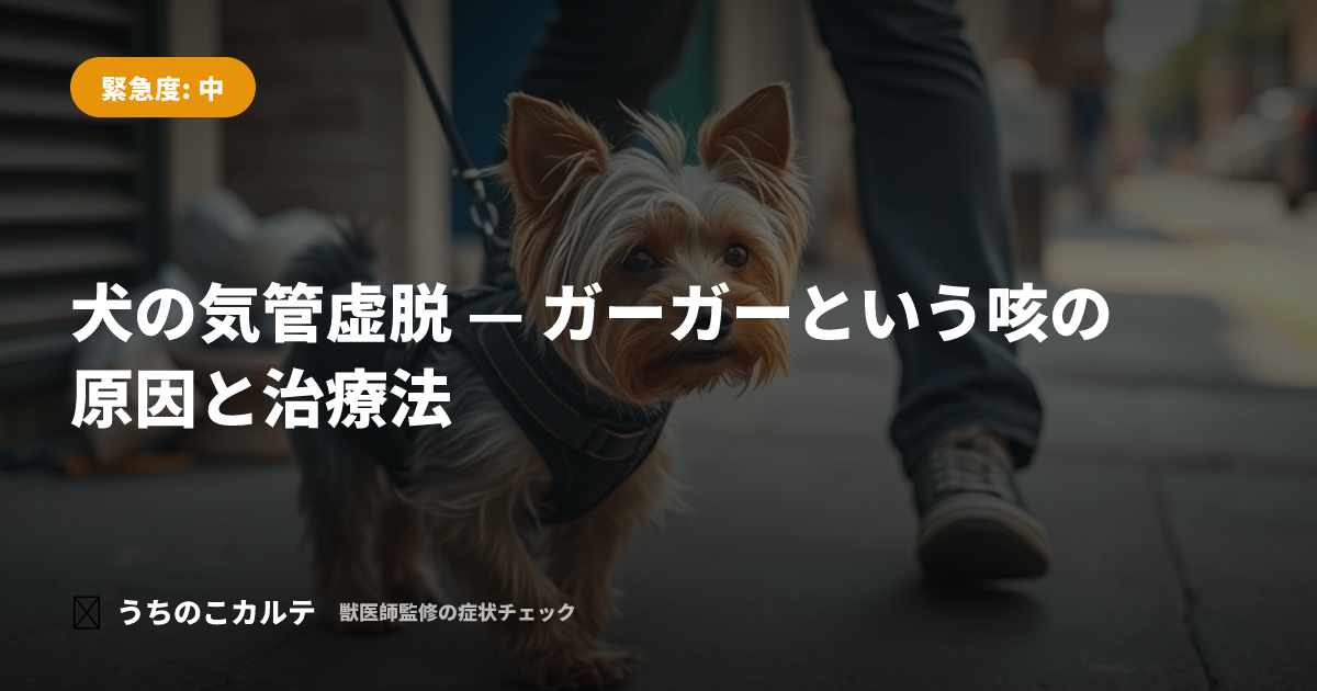犬の気管虚脱 — ガーガーという咳の原因と治療法