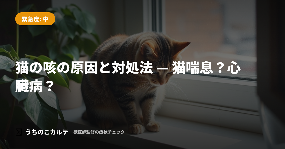 猫の咳の原因と対処法 — 猫喘息？心臓病？