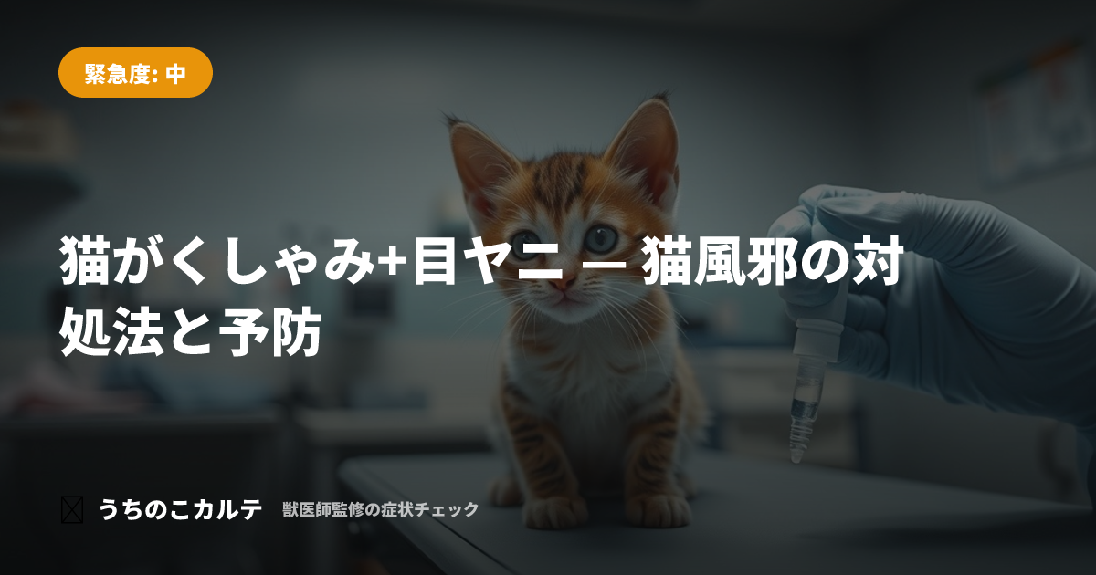 猫がくしゃみ+目ヤニ — 猫風邪の対処法と予防