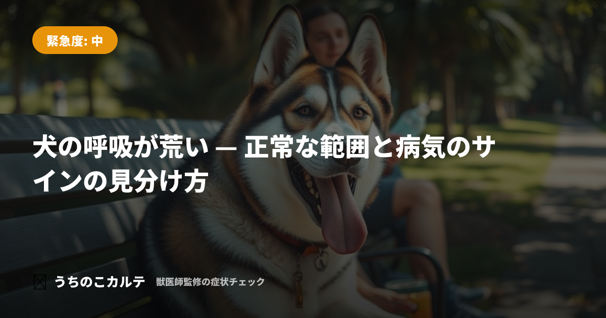 犬の呼吸が荒い — 正常な範囲と病気のサインの見分け方