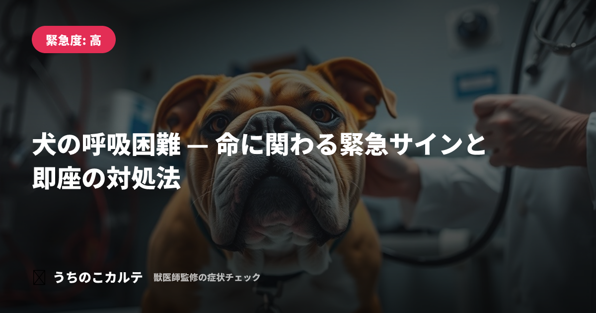 犬の呼吸困難 — 命に関わる緊急サインと即座の対処法