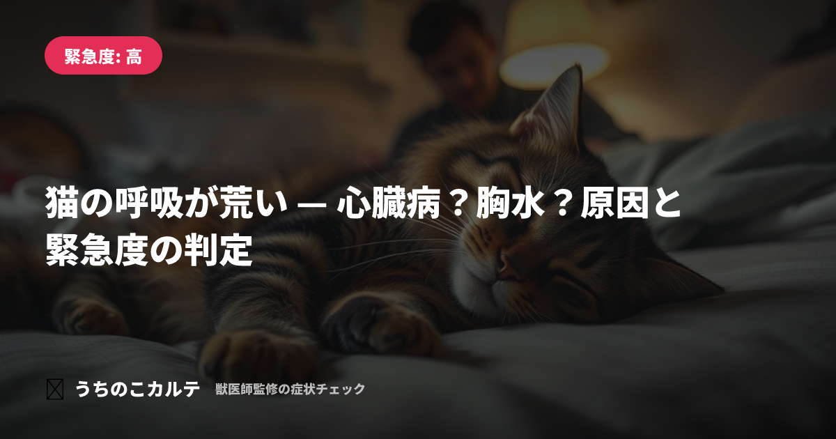 猫の呼吸が荒い — 心臓病？胸水？原因と緊急度の判定
