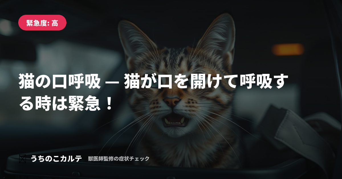猫の口呼吸 — 猫が口を開けて呼吸する時は緊急！