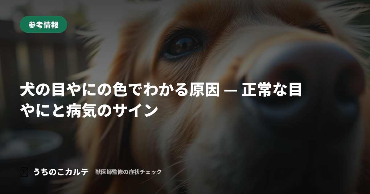 犬の目やにの色でわかる原因 — 正常な目やにと病気のサイン