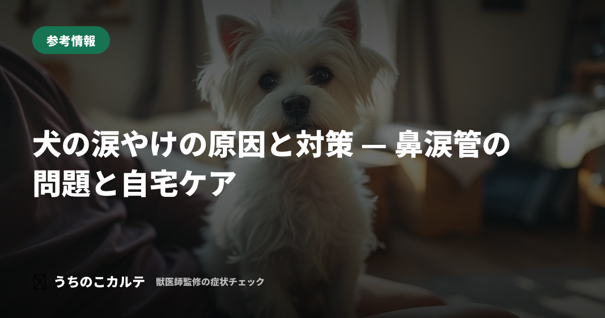 犬の涙やけの原因と対策 — 鼻涙管の問題と自宅ケア