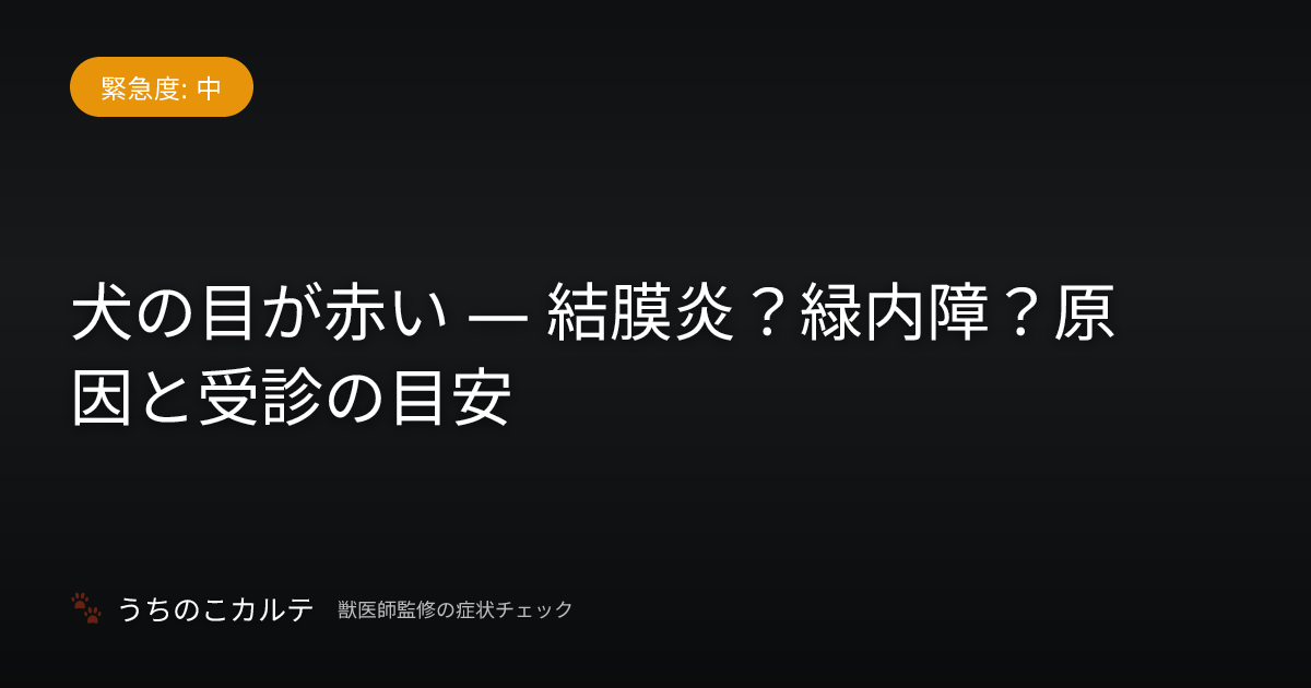 犬の目が赤い — 結膜炎？緑内障？原因と受診の目安