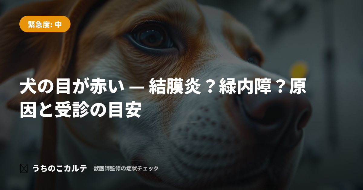 犬の目が赤い — 結膜炎?緑内障?原因と受診の目安