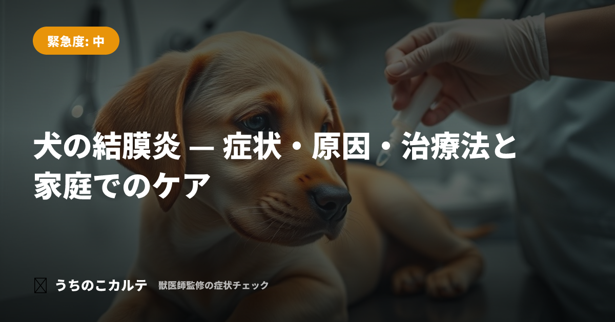 犬の結膜炎 — 症状・原因・治療法と家庭でのケア