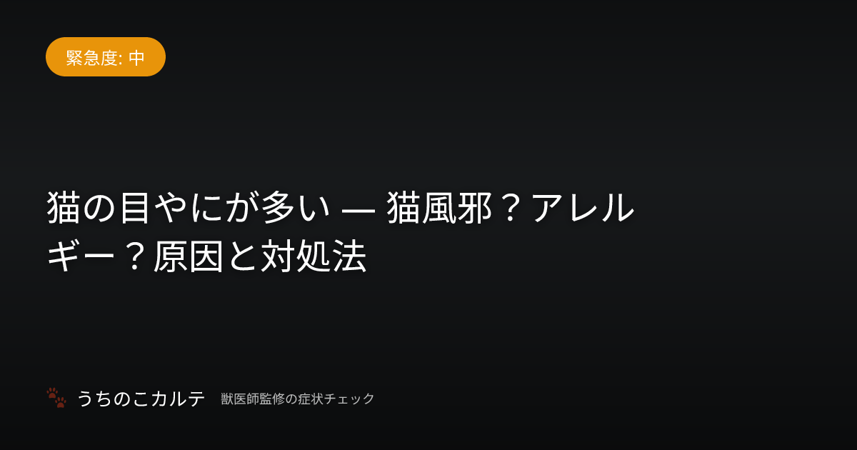 猫の目やにが多い — 猫風邪？アレルギー？原因と対処法