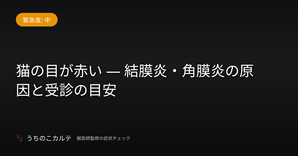 猫の目が赤い — 結膜炎・角膜炎の原因と受診の目安