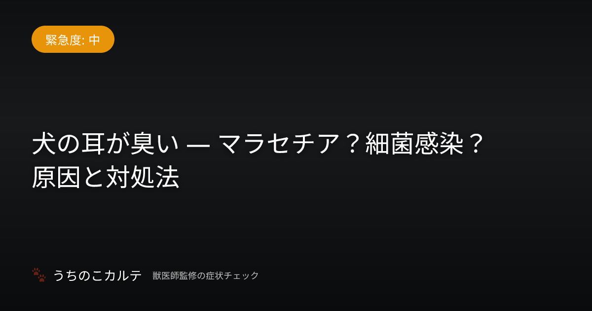 犬の耳が臭い — マラセチア？細菌感染？原因と対処法