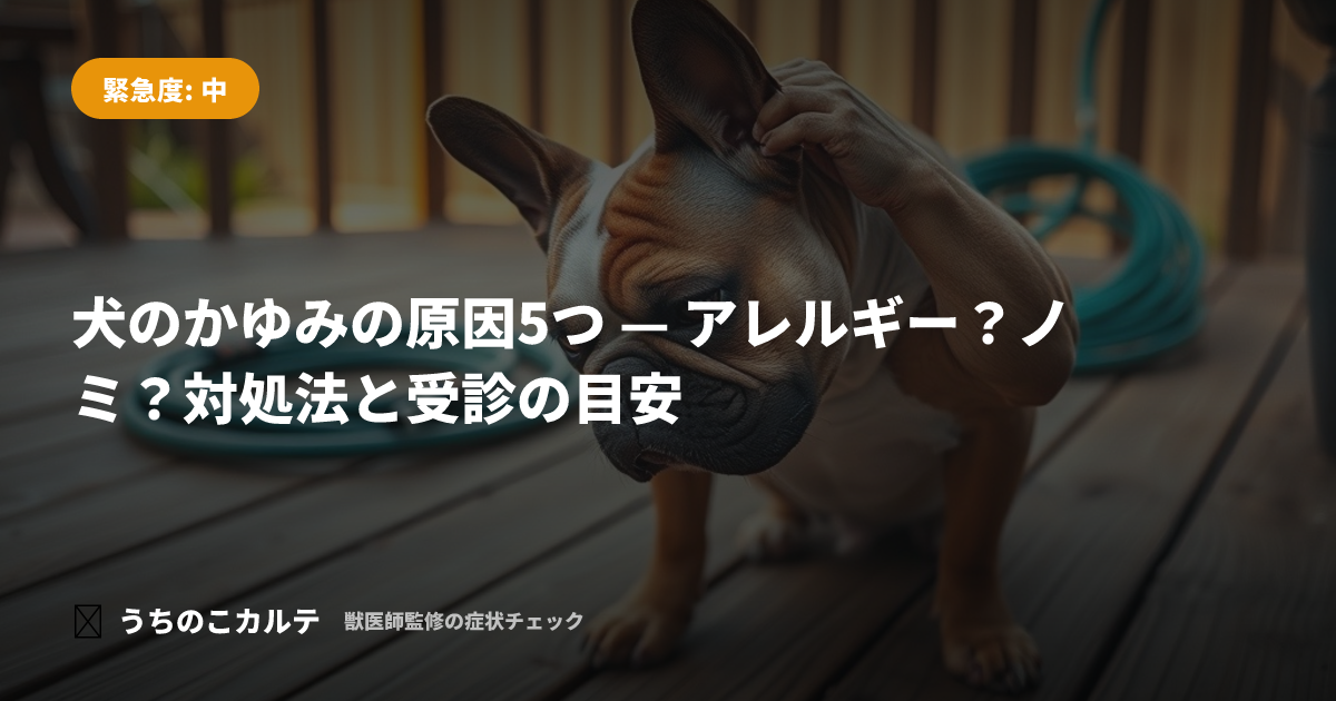 犬のかゆみの原因5つ — アレルギー？ノミ？対処法と受診の目安