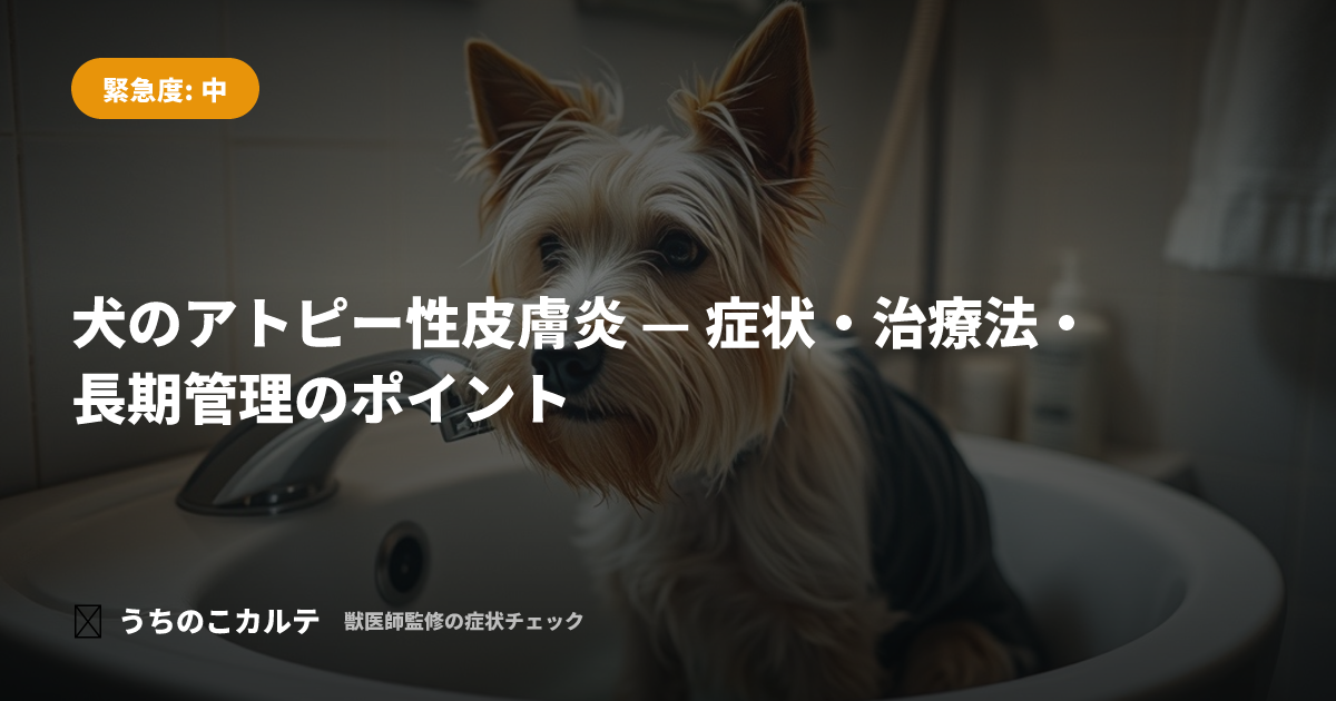 犬のアトピー性皮膚炎 — 症状・治療法・長期管理のポイント