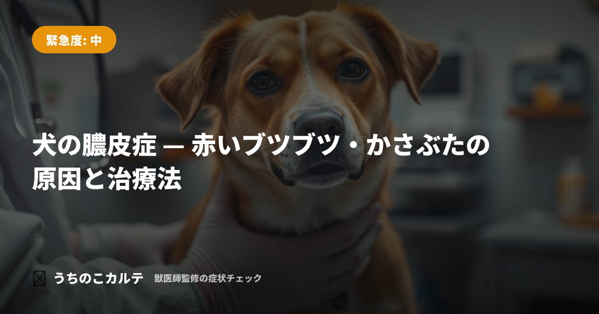 犬の膿皮症 — 赤いブツブツ・かさぶたの原因と治療法