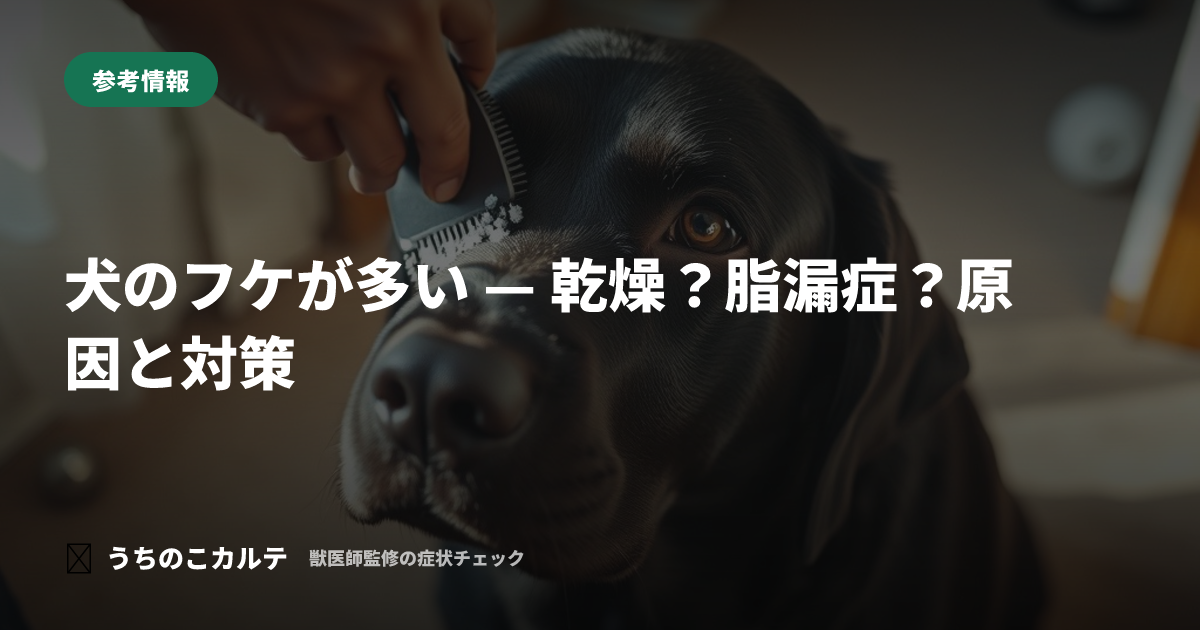 犬のフケが多い — 乾燥？脂漏症？原因と対策
