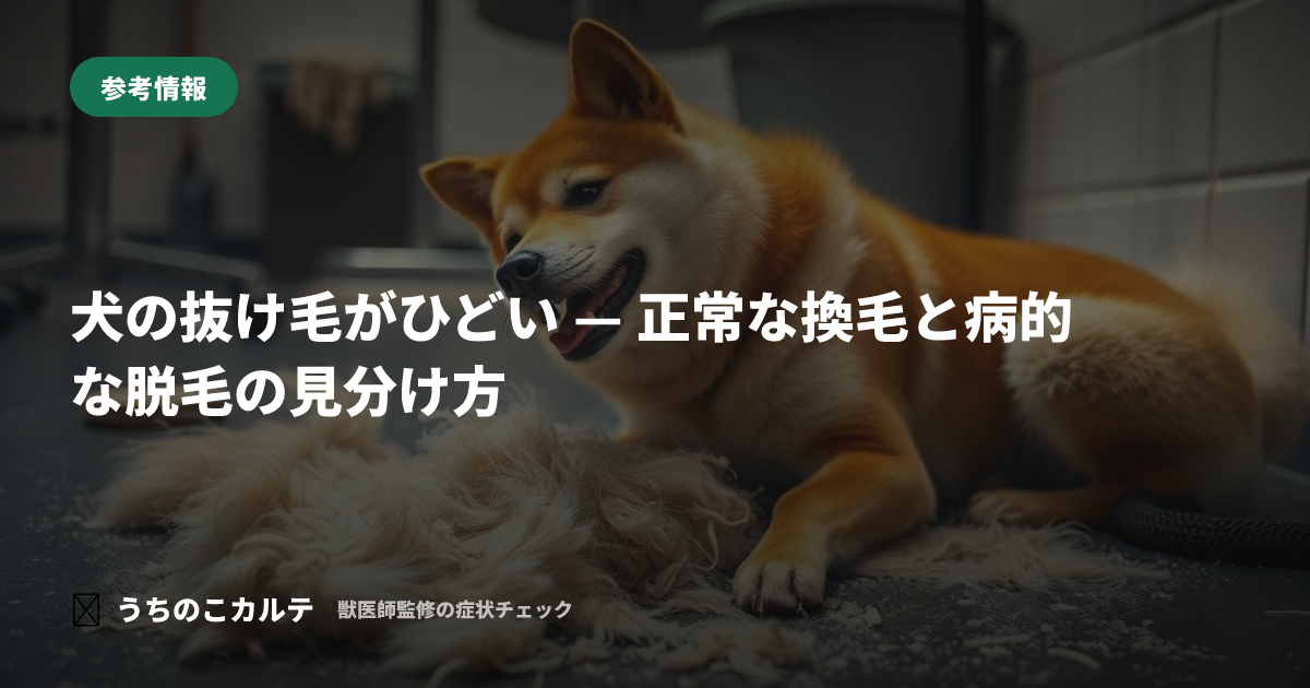 犬の抜け毛がひどい — 正常な換毛と病的な脱毛の見分け方