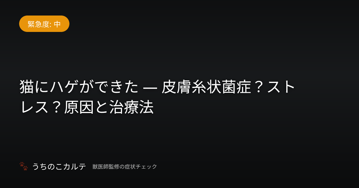 猫にハゲができた — 皮膚糸状菌症？ストレス？原因と治療法
