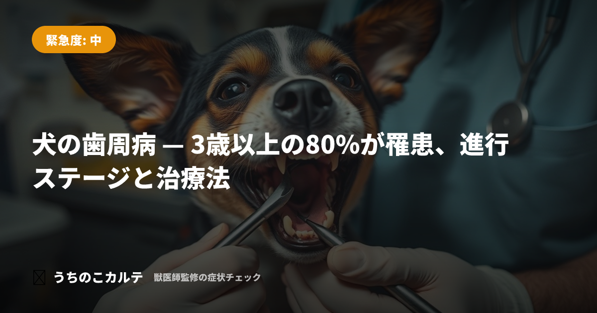 犬の歯周病 — 3歳以上の80%が罹患、進行ステージと治療法