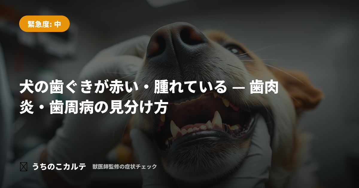 犬の歯ぐきが赤い・腫れている — 歯肉炎・歯周病の見分け方