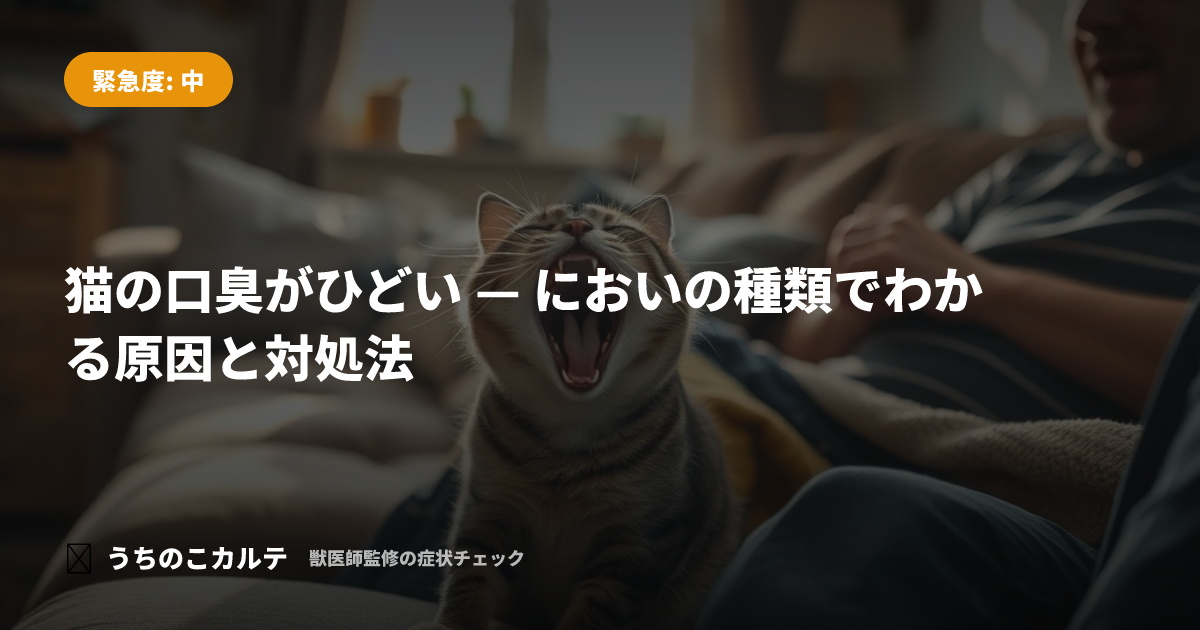 猫の口臭がひどい — においの種類でわかる原因と対処法