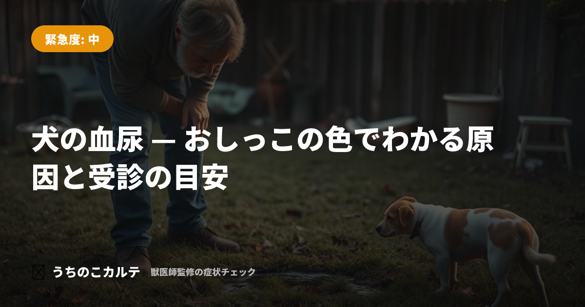 犬の血尿 — おしっこの色でわかる原因と受診の目安