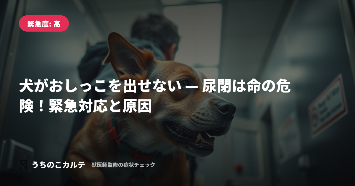 犬がおしっこを出せない — 尿閉は命の危険!緊急対応と原因