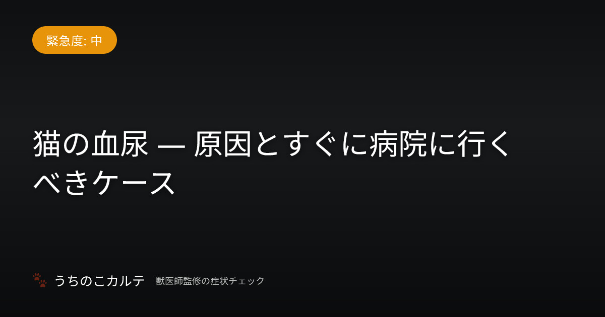 猫の血尿 — 原因とすぐに病院に行くべきケース